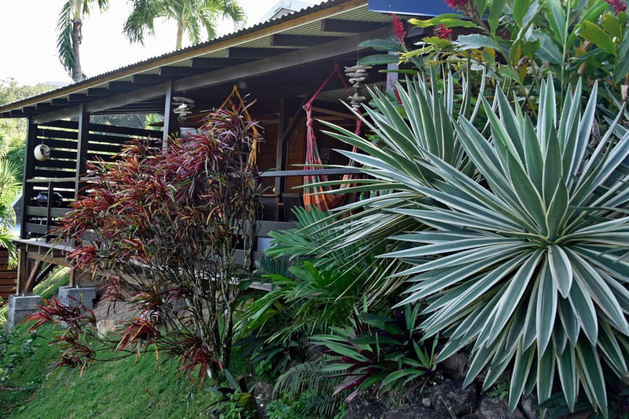 Domaine Karaibes Villa Deshaies Ngoại thất bức ảnh