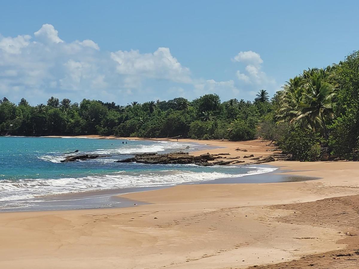Domaine Karaibes Villa Deshaies Ngoại thất bức ảnh